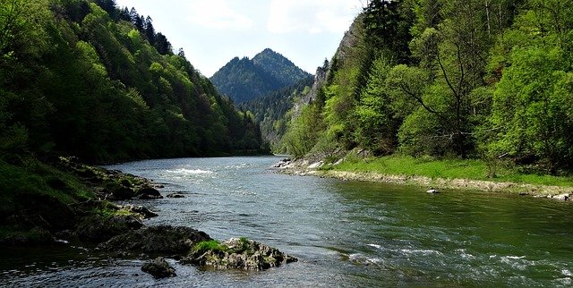 dunajec river